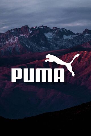 puma logo 4k