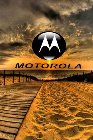 Moto 4