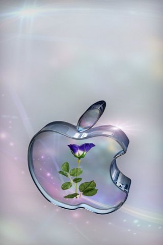 Blooming Innovation: Th..