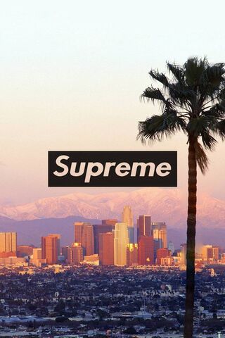 Supreme Bandana Wallpaper - Download to your mobile from PHONEKY