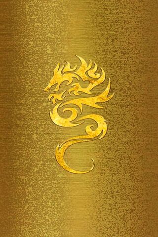 Dragon, gold, black, HD phone wallpaper | Peakpx