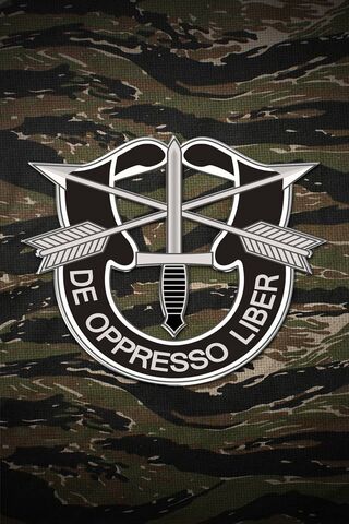 Army Green Beret