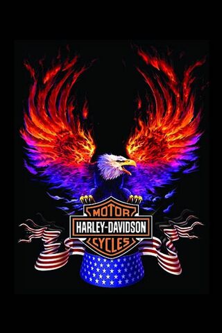Harley Davidson Wallpaper Download To Your Mobile From Phoneky