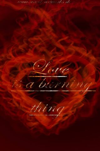 Hd-Love Burning