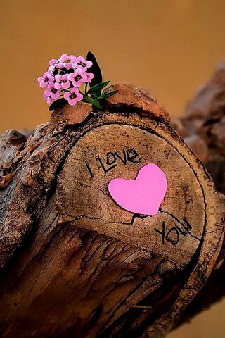 Expressions of Love ❤️