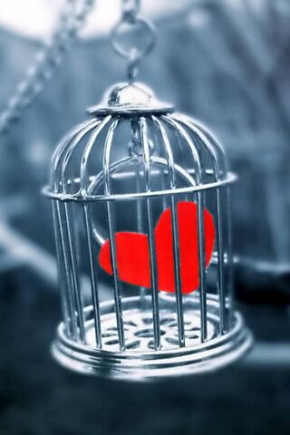 Bound by Love: The Captive Heart