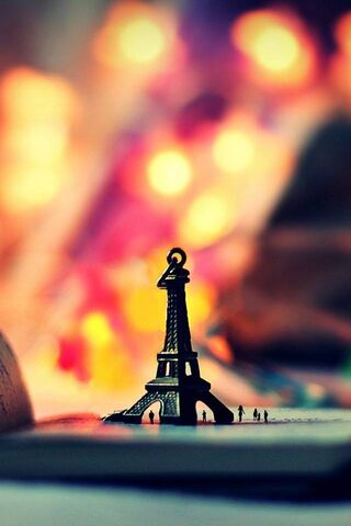 Charming Moments in the..