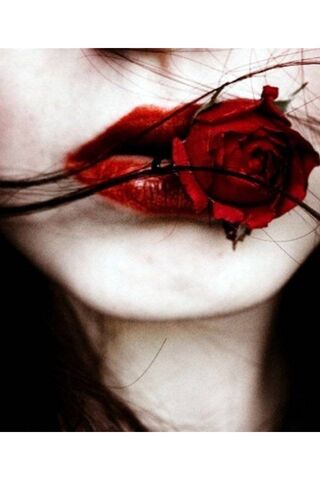 Lips and Roses