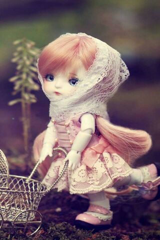 Whimsical Wanderer: The..