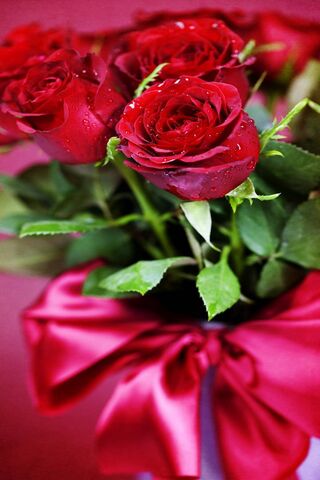 Passion in Bloom: The A..