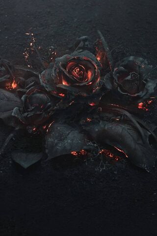 حرق الوردة