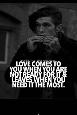 The Paradox of Love 💔✨