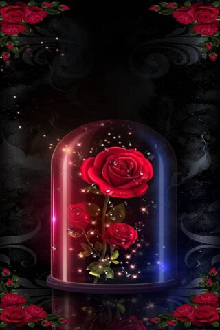 Download Offering Romantic Roses Wallpaper | Wallpapers.com