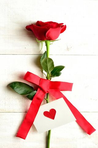 Romantic Rose Wallpaper - Download to your mobile from PHONEKY