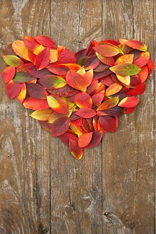 Heart Shape Leaves