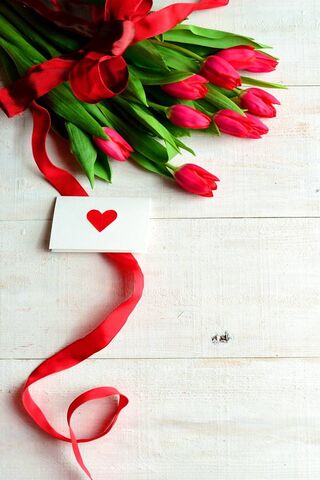 Amor tulipas