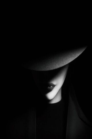 Mystery in Shadows: The..