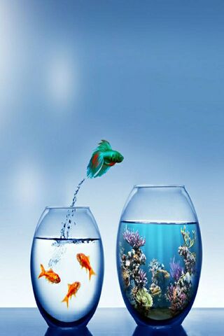 Fish 3D Image