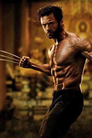 Xman Wolverine