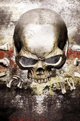 Mysteries of the Skull: Unveiling the Secrets Within 🦴🔍