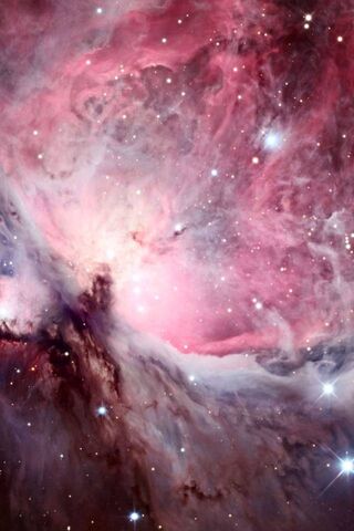 The Cosmic Tapestry: M42 Mosaic 🌌✨
