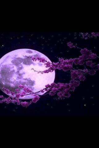 Fioletowy Księżyc