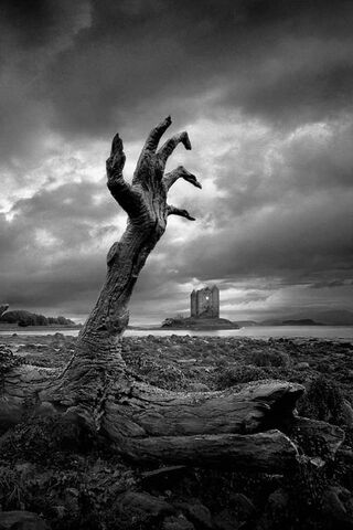 Mystery in Silhouette: The Enigmatic Figure