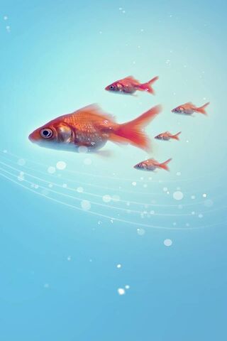 Goldfish-I: A Splash of..