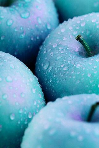 The Juicy World of Apples 🍏🍎