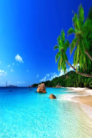 Phoneky Tropical Hd خلفيات