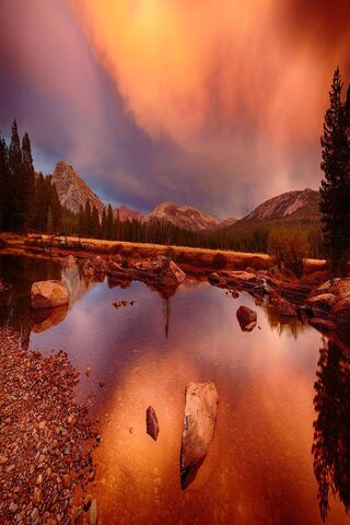 Serene Landscapes: A To..