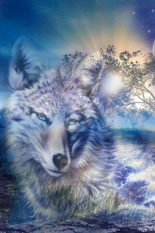 Wolf Spirit 3