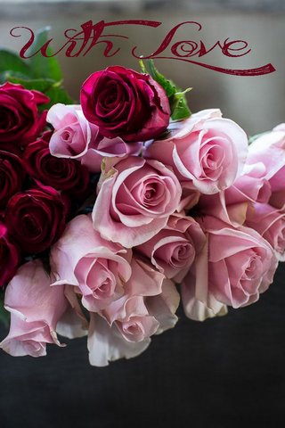 Heartfelt Moments: A Tr..
