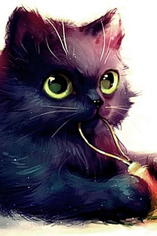 Whiskers and Wonders: The Curious Cat Miau 🐾✨