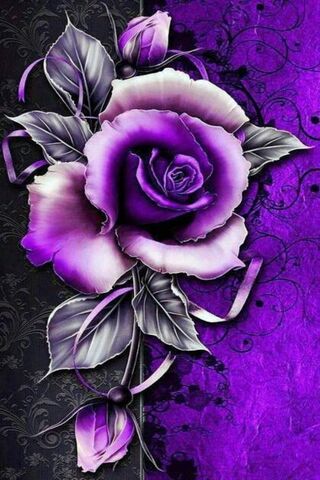 Enchanted Elegance: The..