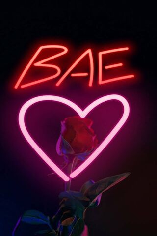 Baes Rose