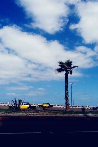 Sunny Vibes of Alexandria 🌴☀️