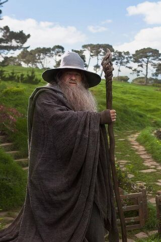 The Enigmatic Wizard of the Shire 🧙 ✨