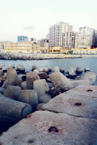 The Coastal Charm of Alexandria 🌊🏙️