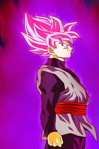 Goku Black: The Dark Wa..