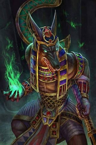 4k Anubis HD Wallpapers 1000 Free 4k Anubis Wallpaper Images For All  Devices