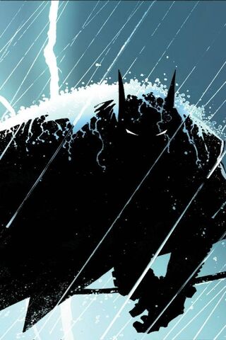 The Dark Knight Rises: A Stormy Vigil