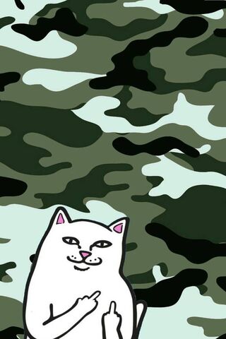 Ripndip's Mischievous C..