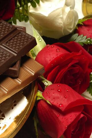 Indulgent Rose Chocolate Delight 🌹🍫
