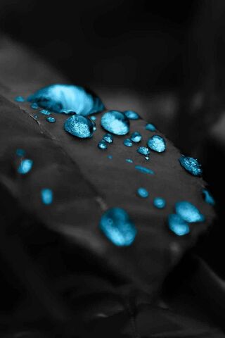 Hd Water Drops