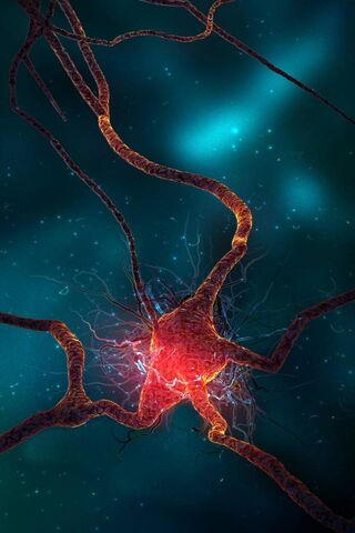 Neuron HD wallpapers | Pxfuel