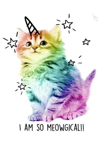 Kittyyyyy