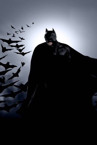 The Dark Knight Rises: A Shadow Among Bats 🦇🌌