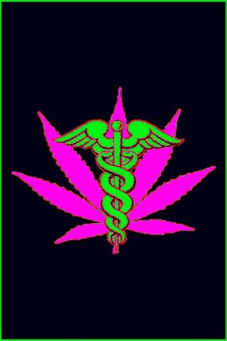 Healing Harmony: The Fu..