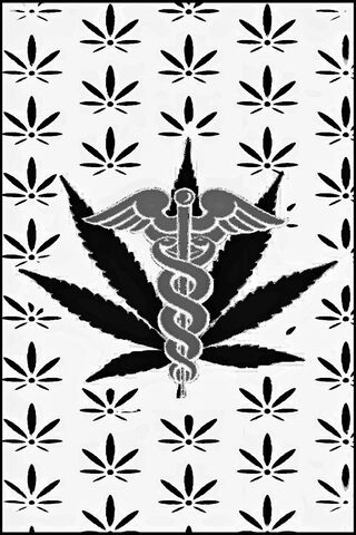 Healing Herb: The Intersection of Nature and Medicine 🌿⚕️